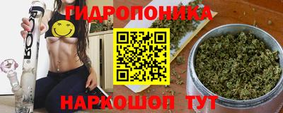 индика Канаш
