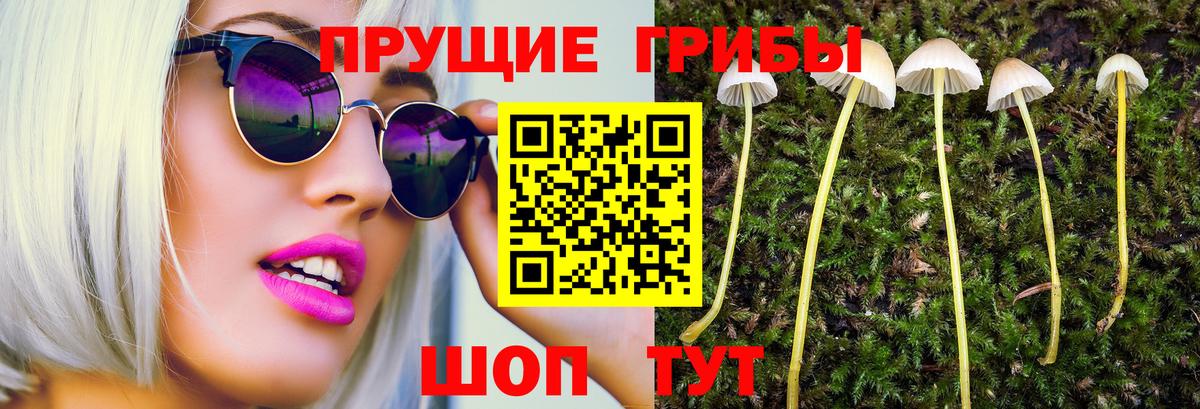 Галлюциногенные грибы мицелий  Вход с VPN  Искитим 