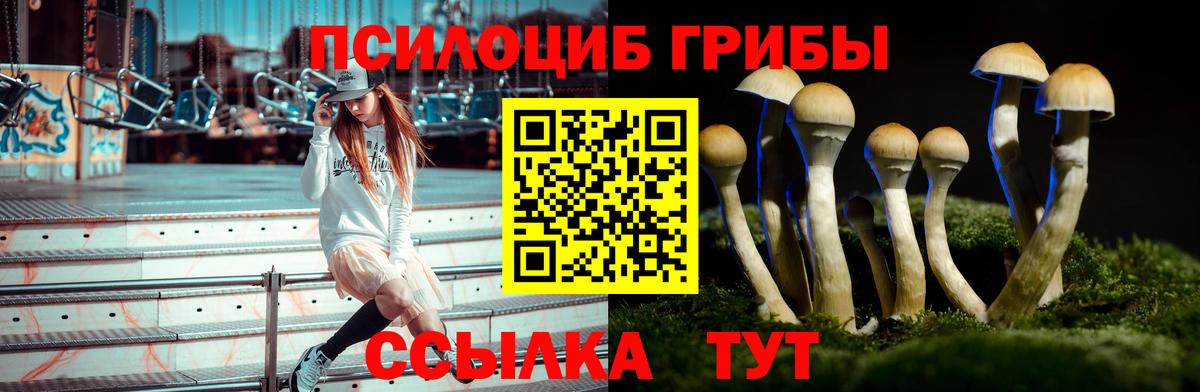 Галлюциногенные грибы мицелий Искитим